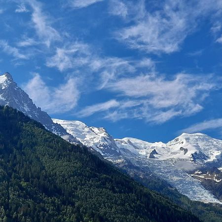 Le Petit Balcon Avec Vue Sur Le Mont-Blanc 2 Etoiles Apartment Chamonix Ngoại thất bức ảnh