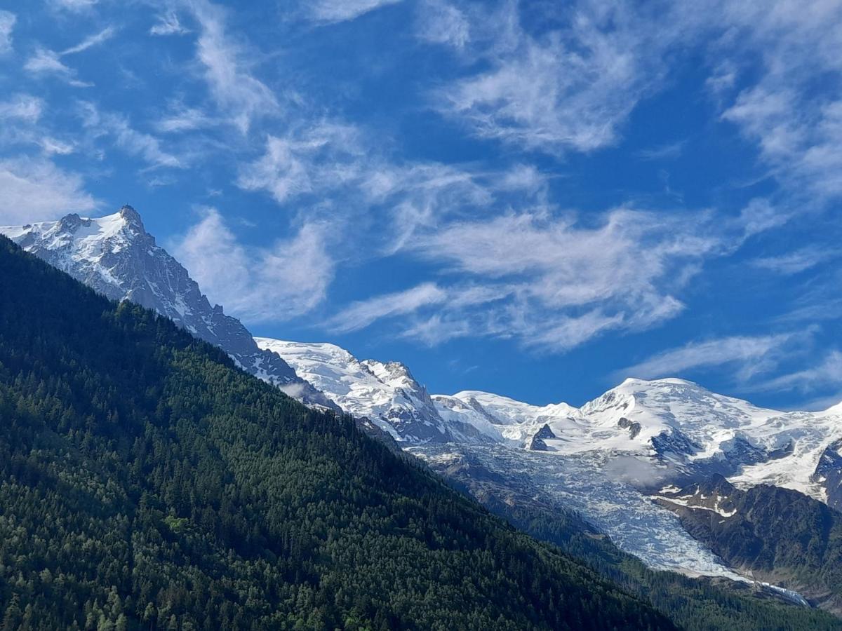 Le Petit Balcon Avec Vue Sur Le Mont-Blanc 2 Etoiles Apartment Chamonix Ngoại thất bức ảnh